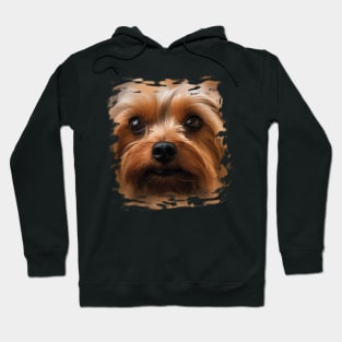 Yorkshire Terrier Face Yorkshire Terrier Dog Lover Hoodie